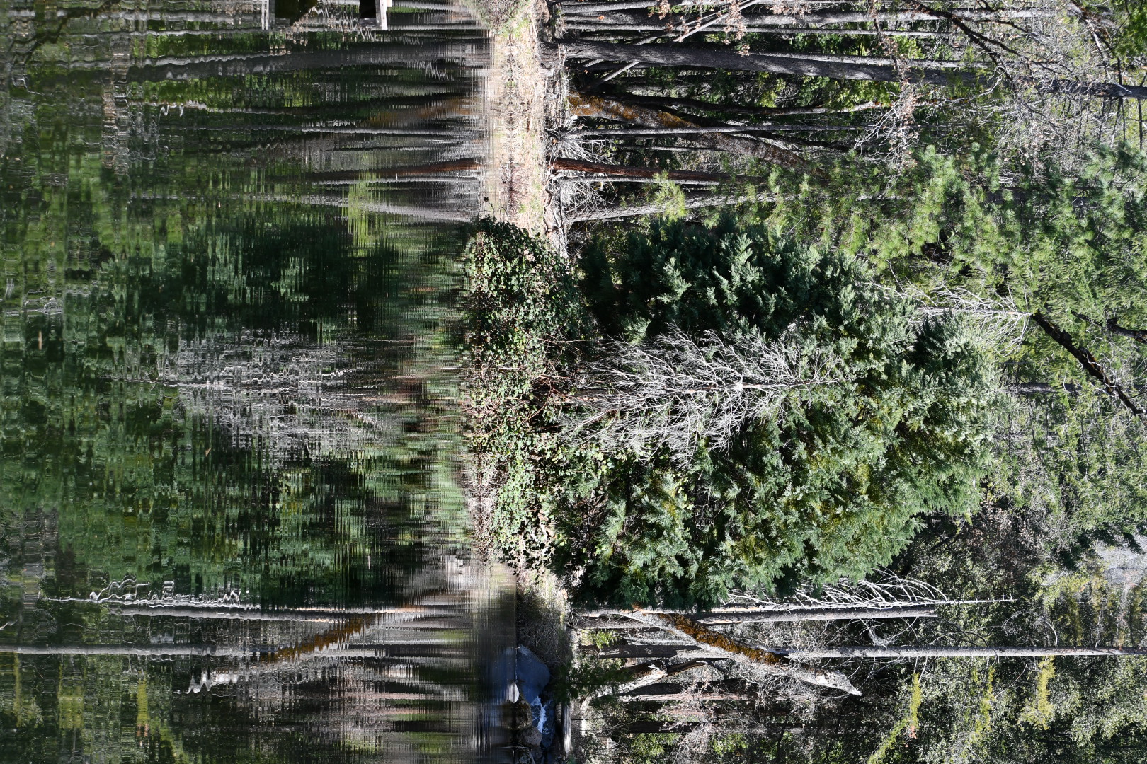 Tranquil South Fork Battle Creek, Sierra Nevada